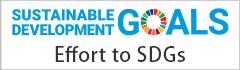 effort to sdgs 