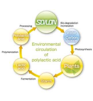 Environmental circulation　of polylactic acid